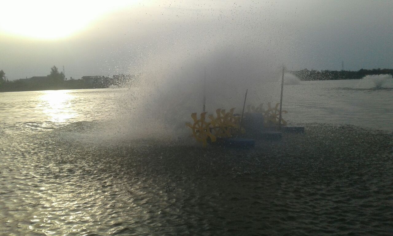 عرضه خرید دستگاه هواده پدل ویل استخر پرورش ماهی